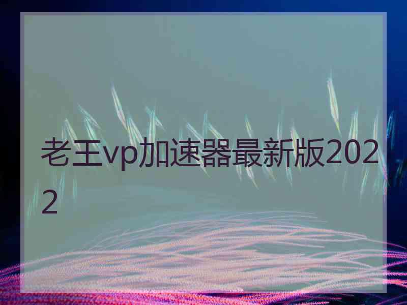 老王vp加速器最新版2022