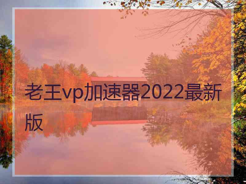 老王vp加速器2022最新版