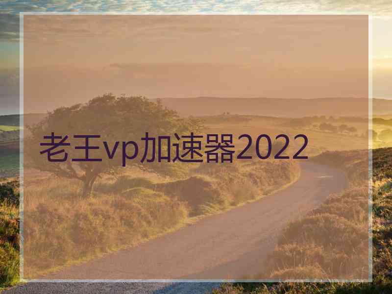 老王vp加速器2022