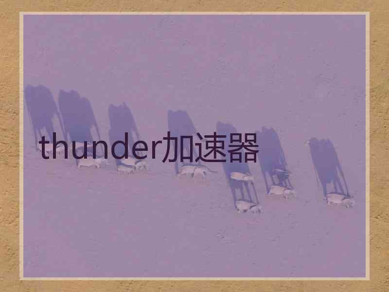 thunder加速器