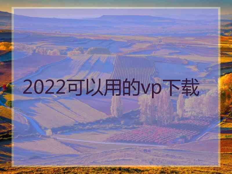 2022可以用的vp下载