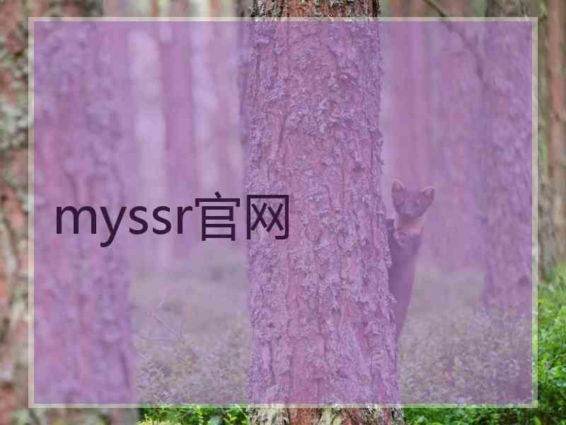 myssr官网