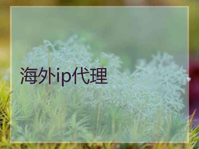 海外ip代理
