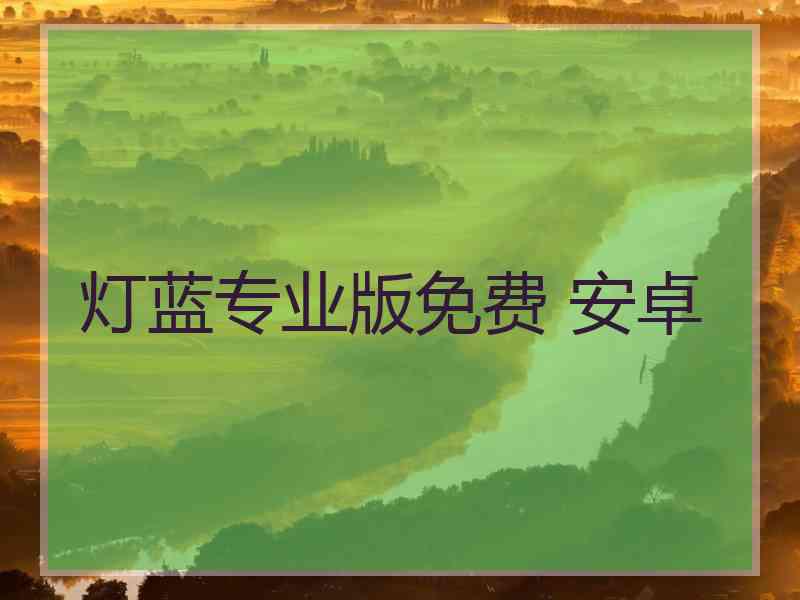 灯蓝专业版免费 安卓
