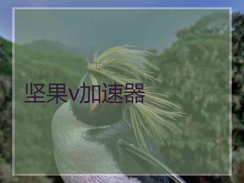 坚果v加速器