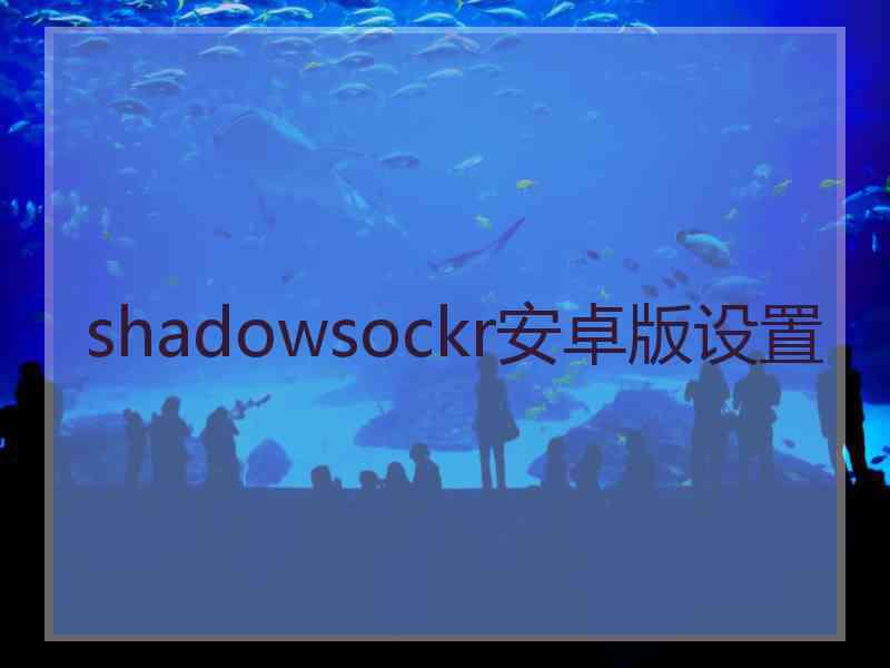 shadowsockr安卓版设置