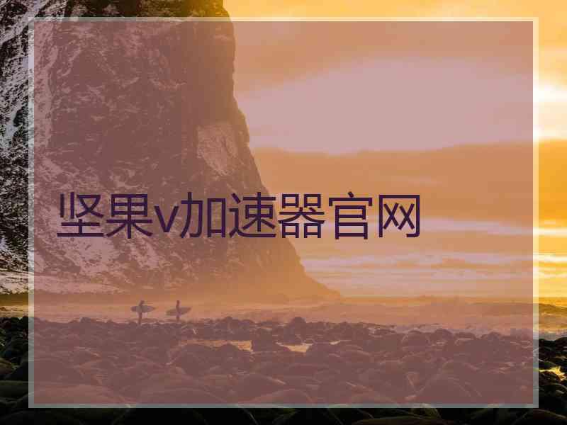 坚果v加速器官网