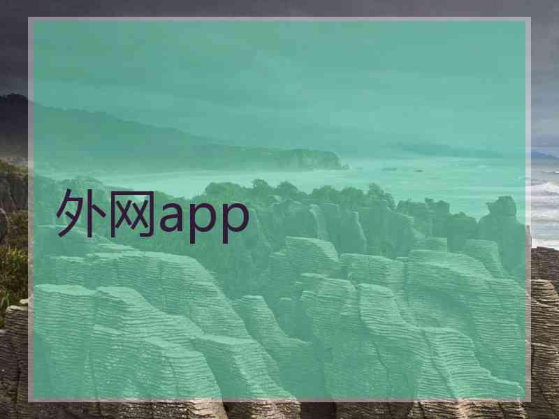 外网app