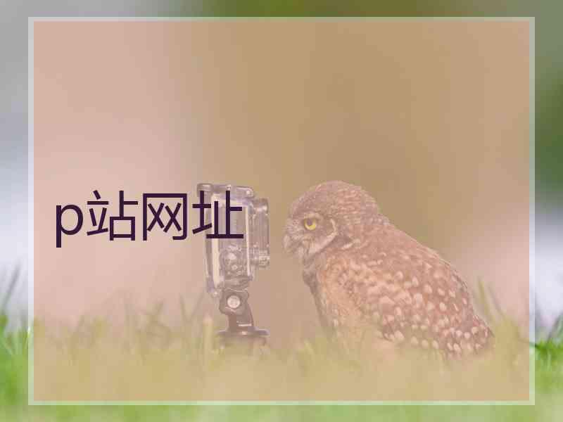 p站网址