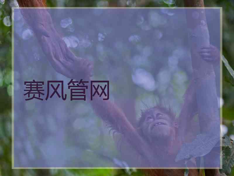 赛风管网