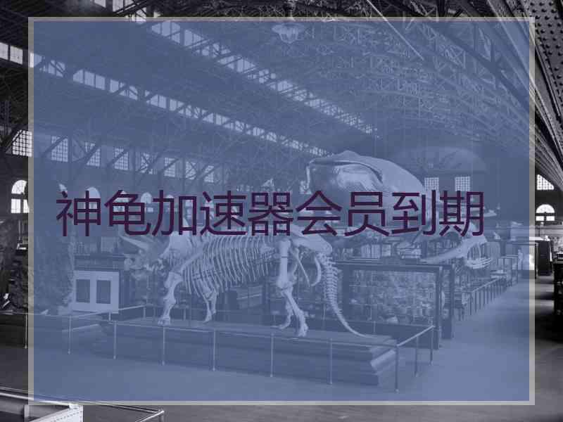 神龟加速器会员到期