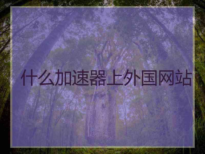 什么加速器上外国网站