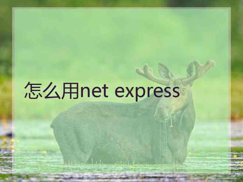 怎么用net express