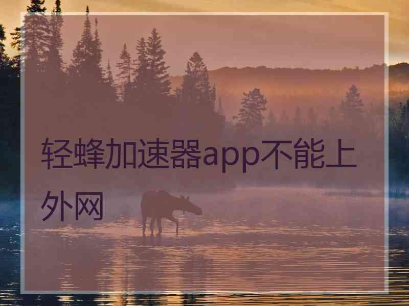 轻蜂加速器app不能上外网