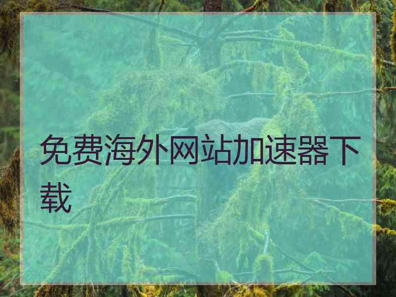 免费海外网站加速器下载