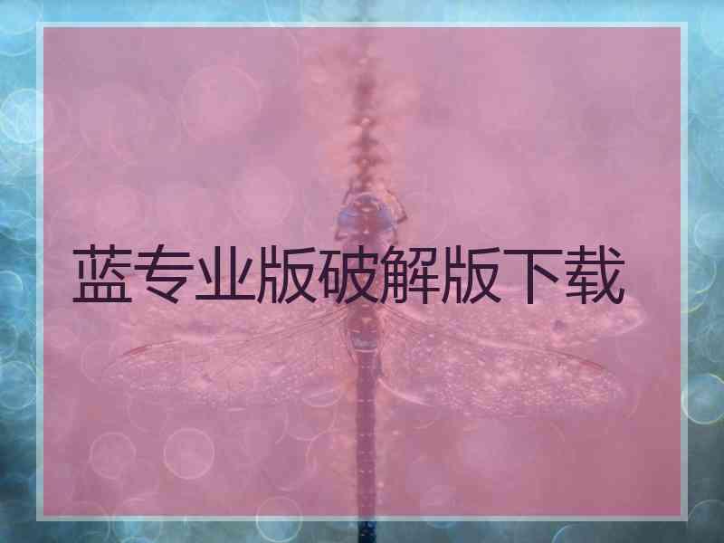 蓝专业版破解版下载