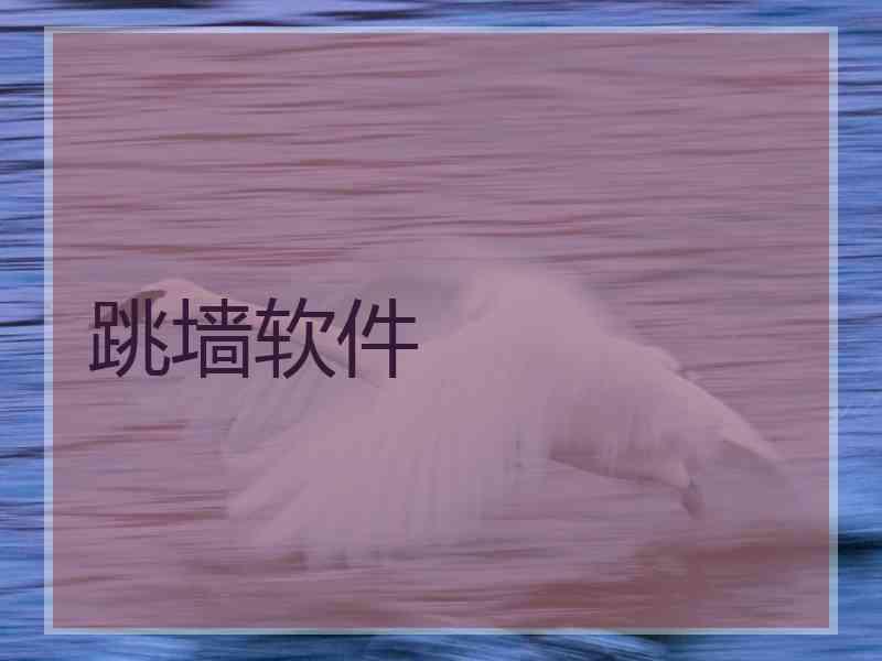 跳墙软件