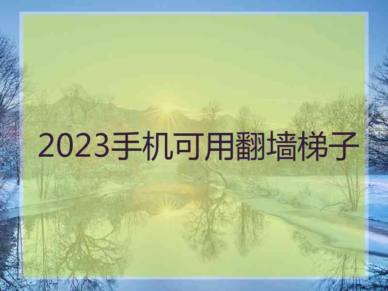 2023手机可用翻墙梯子