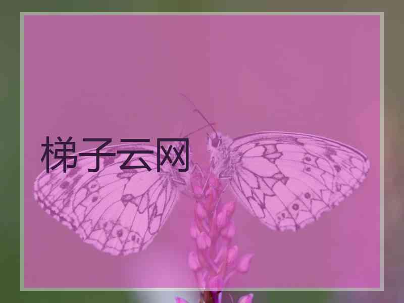 梯子云网