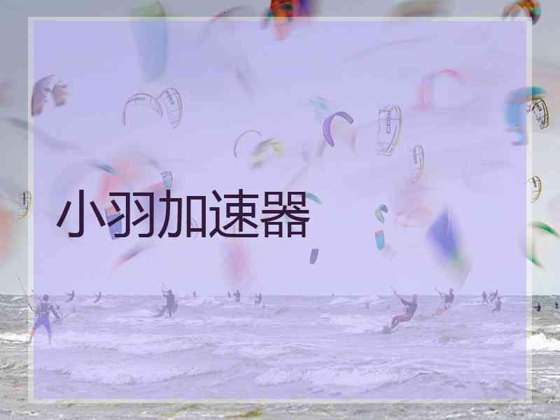 小羽加速器