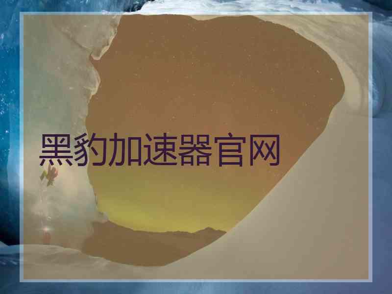 黑豹加速器官网