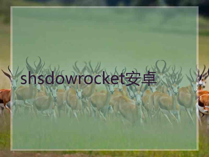 shsdowrocket安卓