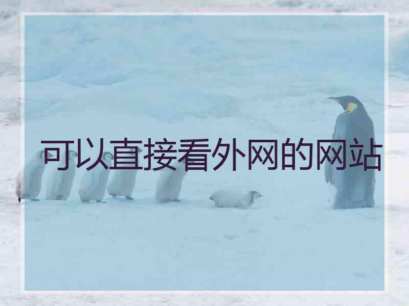 可以直接看外网的网站