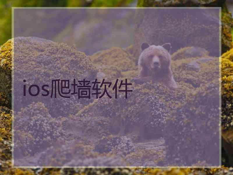 ios爬墙软件