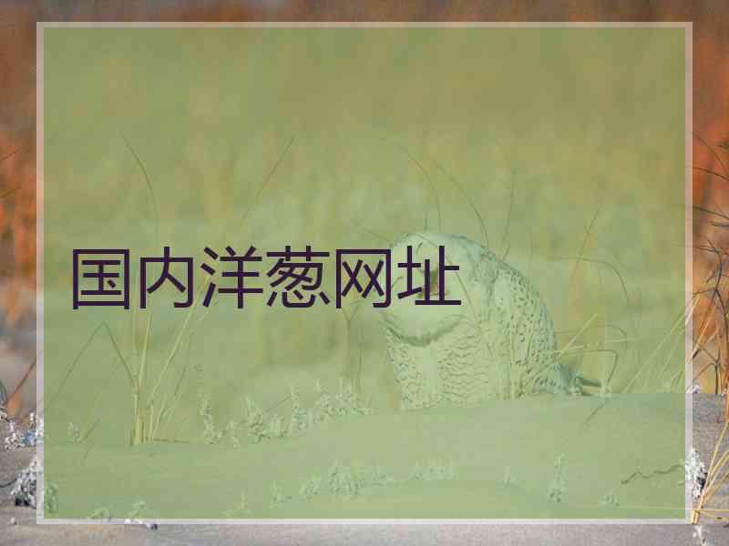 国内洋葱网址