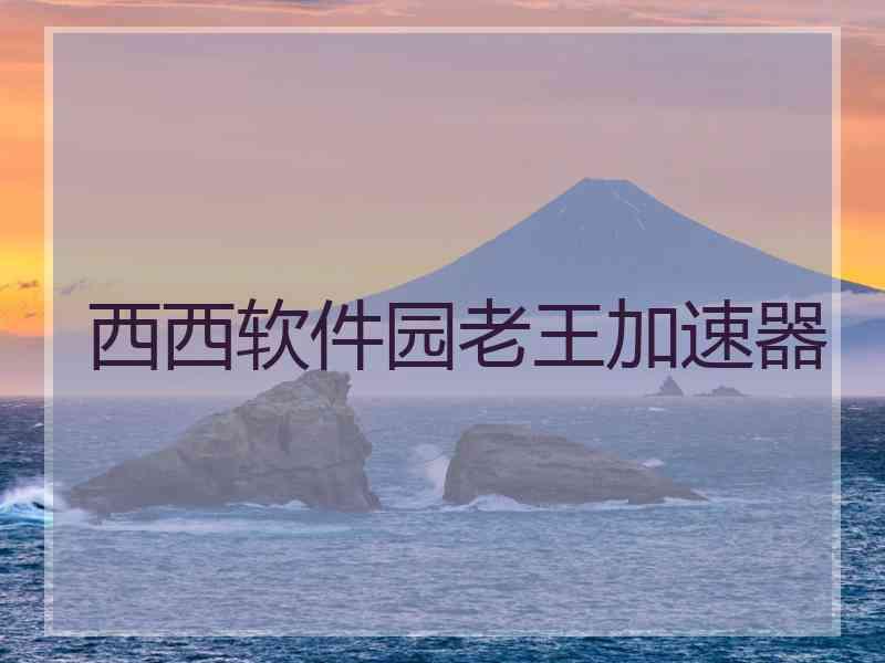 西西软件园老王加速器