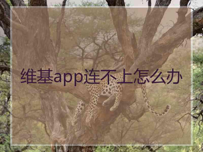 维基app连不上怎么办