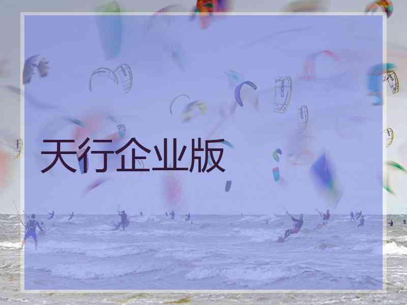 天行企业版