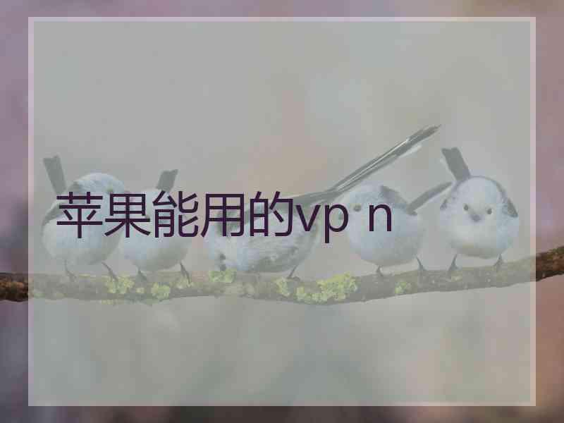 苹果能用的vp n