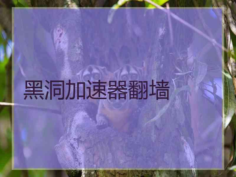 黑洞加速器翻墙