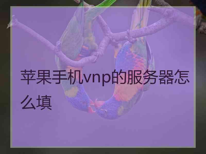 苹果手机vnp的服务器怎么填