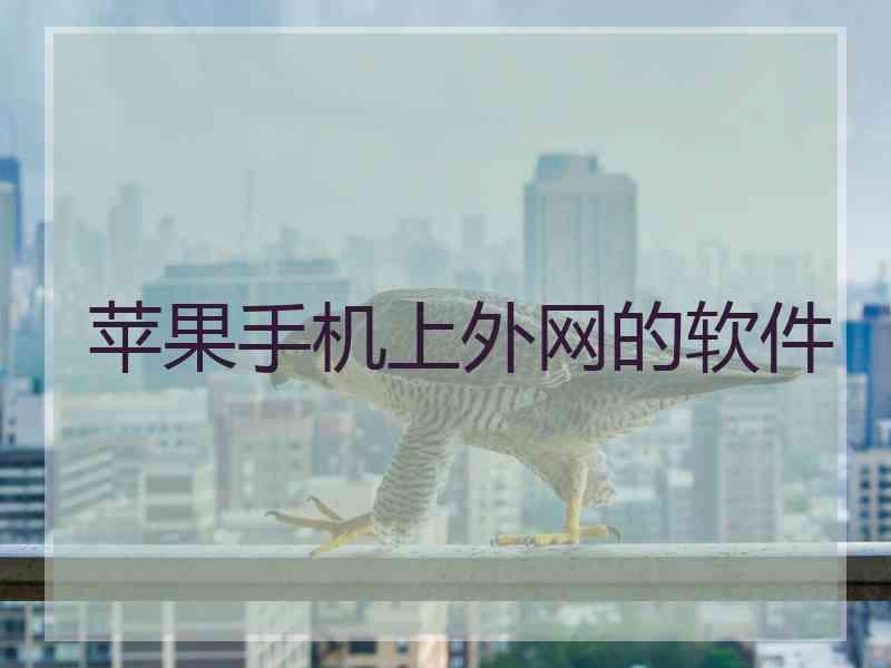 苹果手机上外网的软件