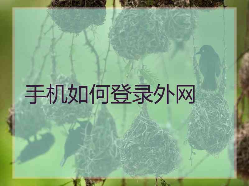 手机如何登录外网