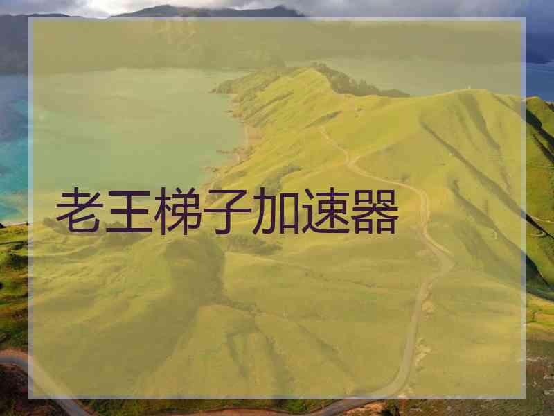 老王梯子加速器