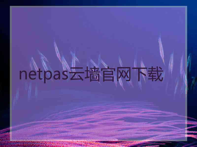 netpas云墙官网下载