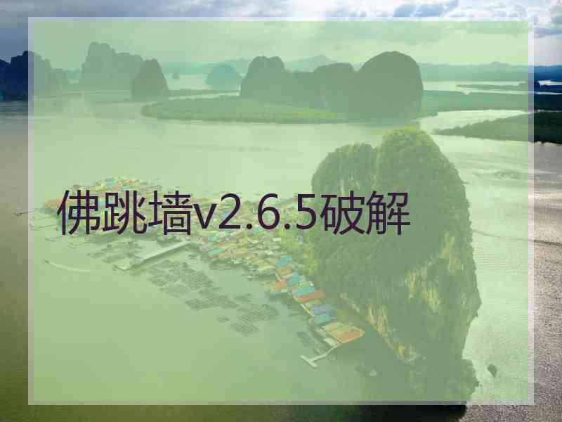 佛跳墙v2.6.5破解