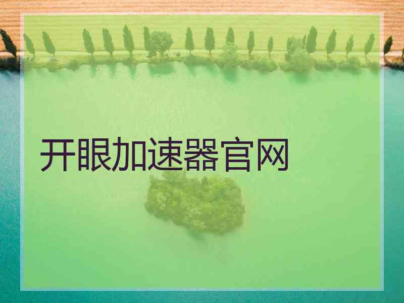 开眼加速器官网
