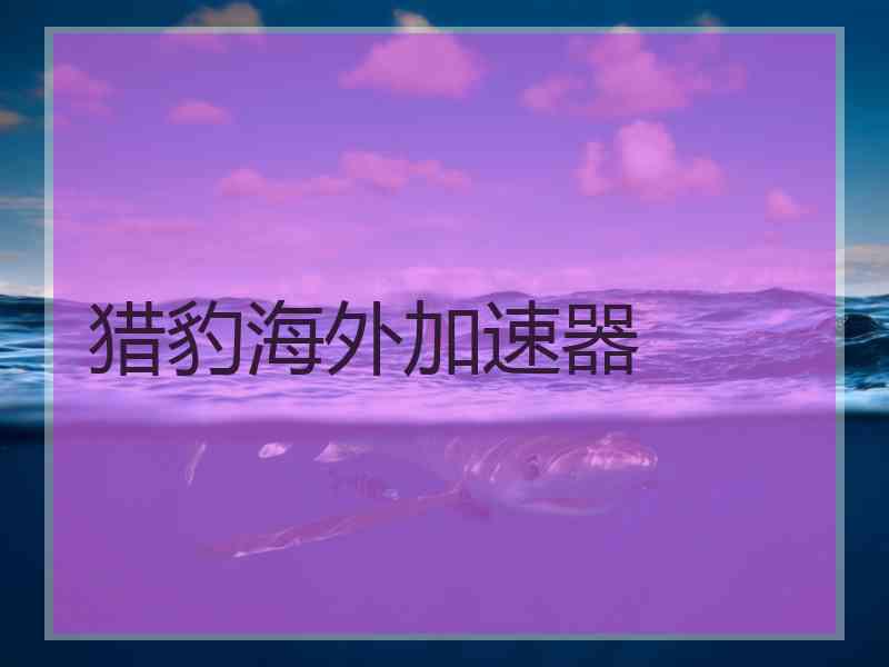 猎豹海外加速器