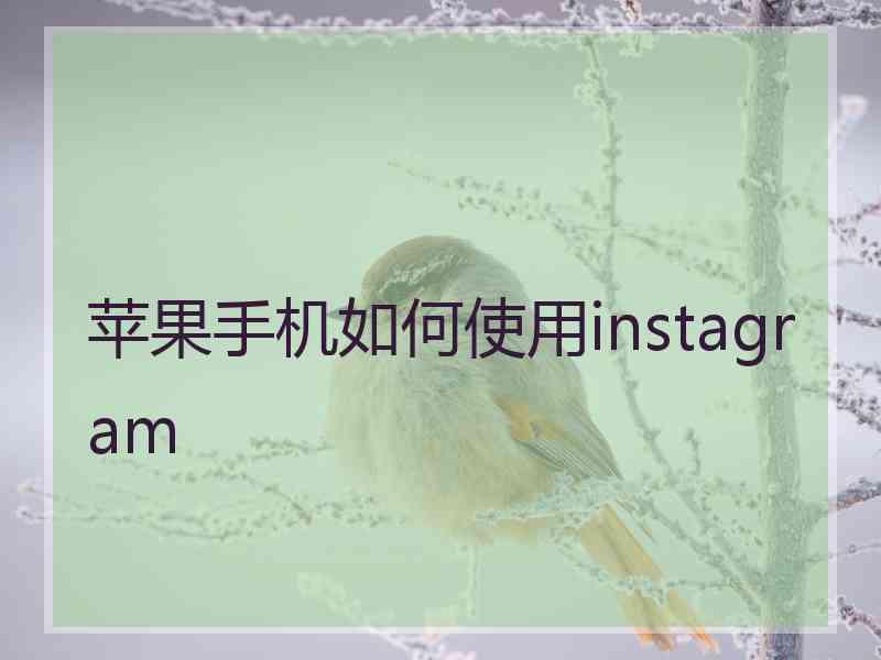 苹果手机如何使用instagram