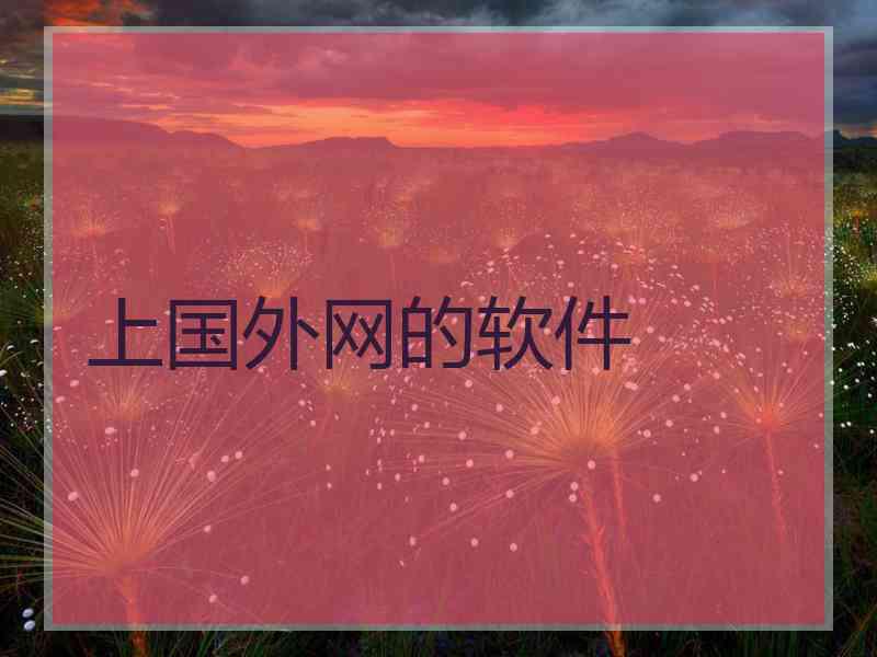 上国外网的软件