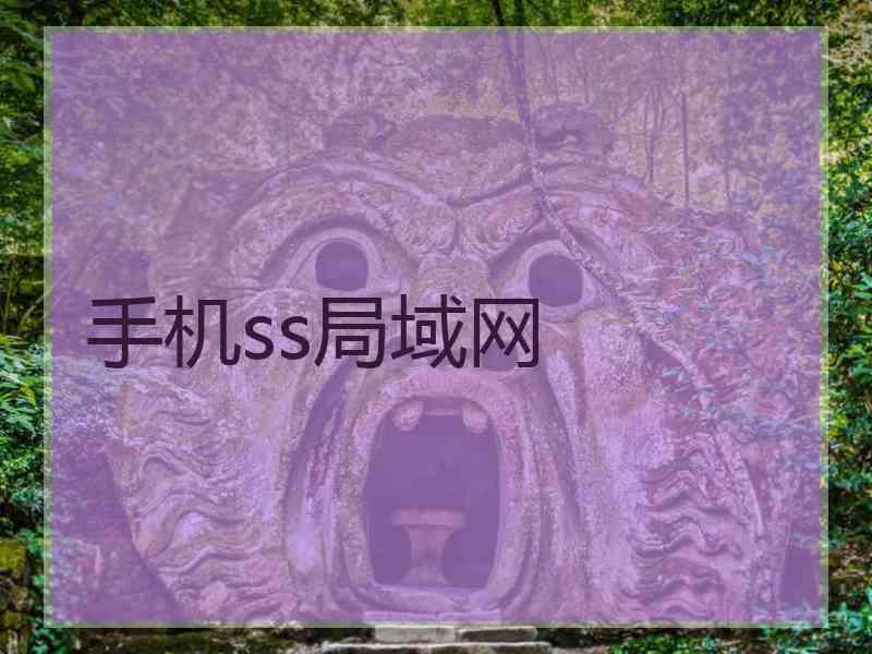 手机ss局域网