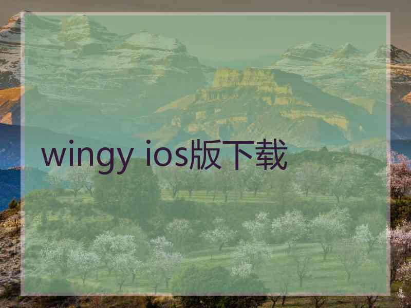 wingy ios版下载
