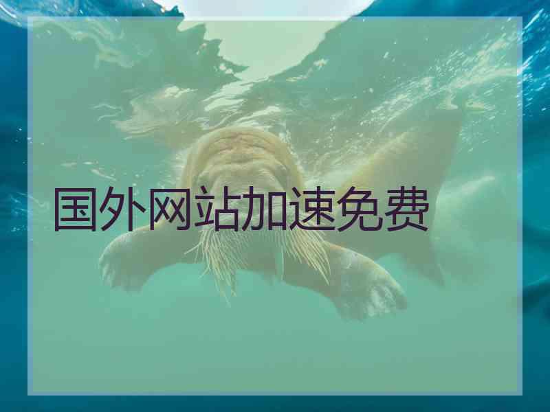 国外网站加速免费