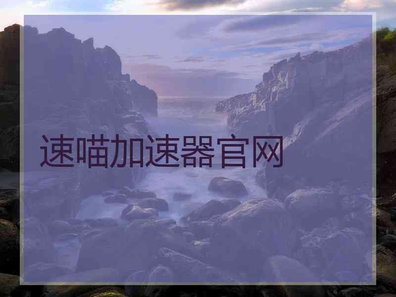 速喵加速器官网