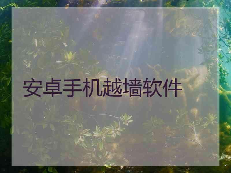 安卓手机越墙软件