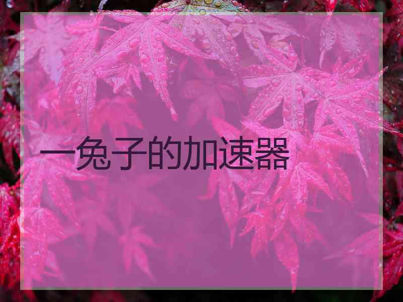 一兔子的加速器